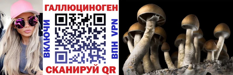 Купить  Арсеньев  Псилоцибиновые грибы Magic Shrooms 
